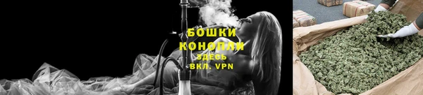 амф Осташков