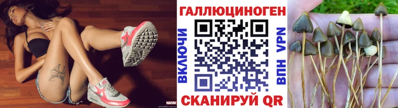 Псилоцибиновые грибы мухоморы  закладка  Сергач 